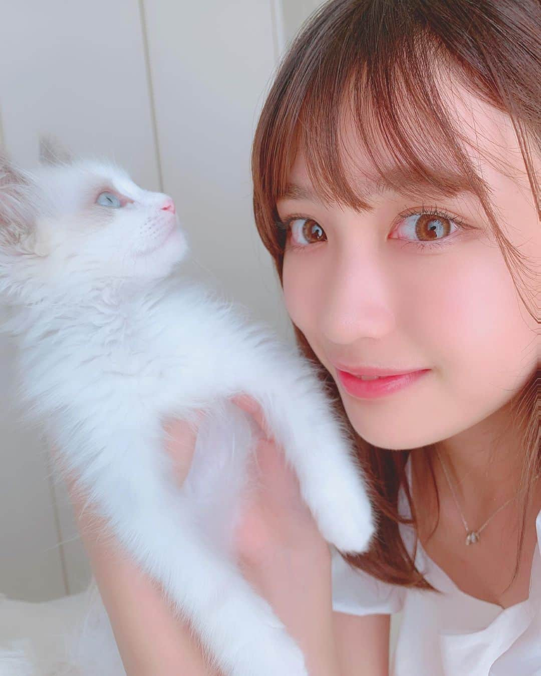 山本瑚々南さんのインスタグラム写真 - (山本瑚々南Instagram)「にゃんぽこら！ このため撮りそろそろしつこいから、最後にする😂  #Japanesegirl #自拍 #좋아요 #좋아요반사 #좋아요꾹 #팔로미 #셀카그램 #셀끼꾼 #메이크업 #일상룩  #패션 #셀카타임 #코스메틱 #粉我 #ootd #selfie  #냥스타그램 #캣스타그램 #ラグドール子猫 #ラグドール #ねこすたぐらむ #にゃんすたぐらむ #ragdool #ragdoolfinstagram #ラグドール男の子 #猫のいる暮らし #ブルーポイントバイカラー #にゃんだふるらいふ #ラグドール部」6月6日 23時50分 - yamamoto_kokona