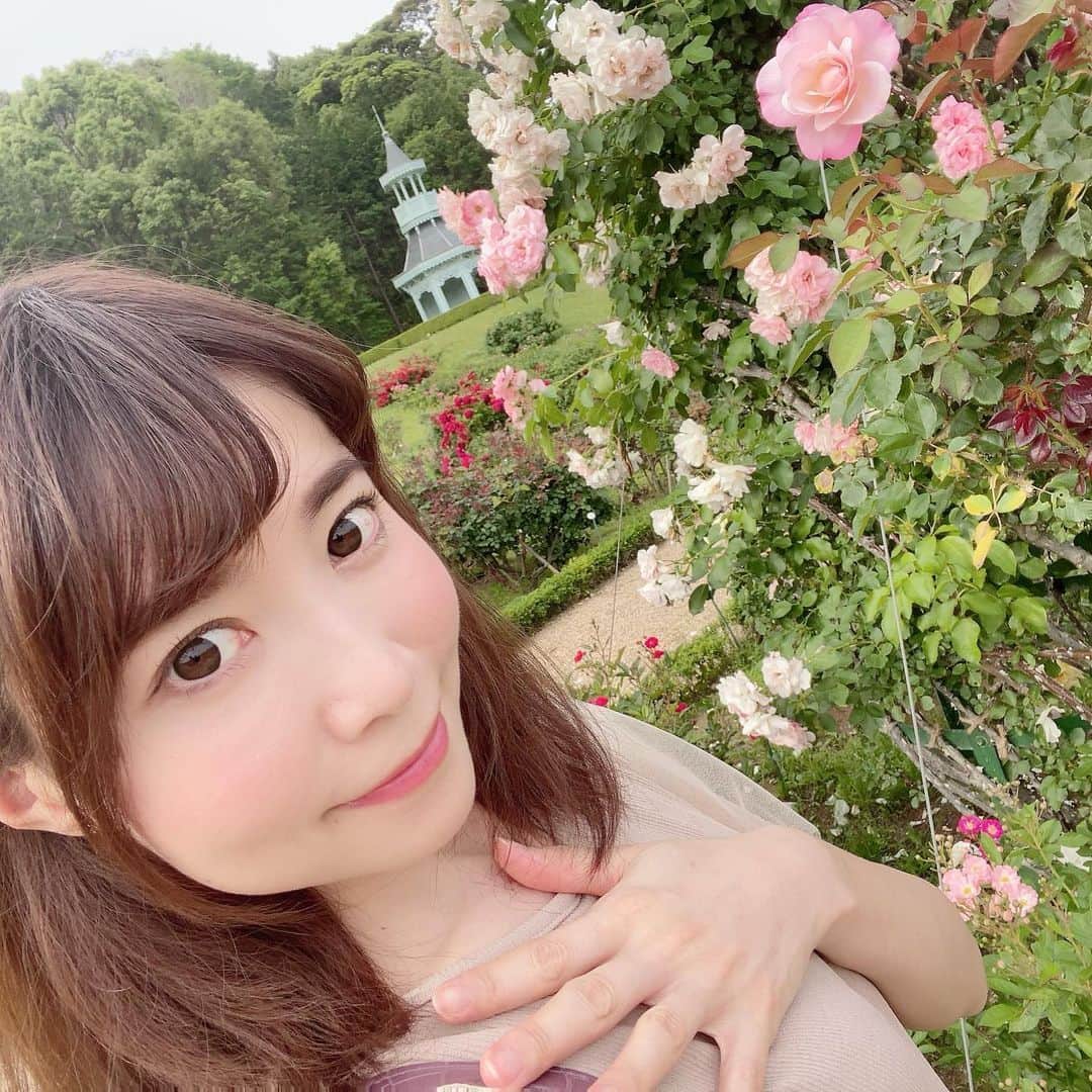 伊沢千夏さんのインスタグラム写真 - (伊沢千夏Instagram)「薔薇園🌹 なんて素敵なのでしょう✨💗」6月7日 0時07分 - izawachinatsuofficial