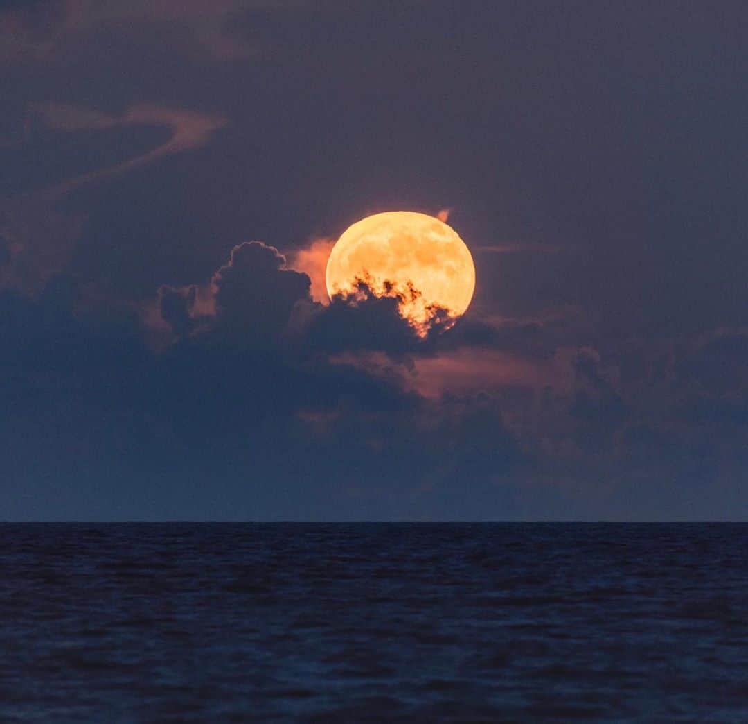 Sarahのインスタグラム：「Strawberry full moon 6/5/20」