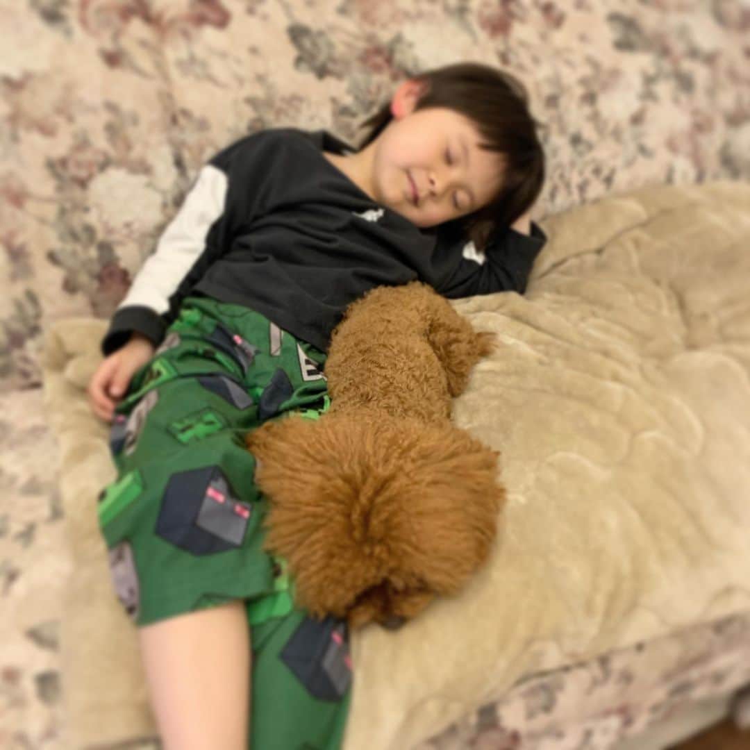町田亜里香のインスタグラム：「気付いたら今日は、 ストーリーも書いてなかった。 今日何億年ぶりのマックを食べました。 帰ってきて全部お皿に移してから 食べました。。 子供がずーっと食べたがってたから… 緊急事態宣言も終わり学校や幼稚園🏫も 始まったからね(T . T)！！ 食べさせてあげました🍔✨ でもまたしばらくおあずけにするかな🥺 . . 自粛し始めて… 2月ごろかな？ その辺から外食もデリバリーも しなくなって…😱😱 お惣菜ももちろん買わない😶 ずっと自炊。 便利な私の冷蔵庫にも行かず （近くのファミマ） って過ごして気付いた。 自炊って節約になる💰✨ これから先どうなるかわからないから まだまだ節約がてら自炊します🍚 . 早く普通の生活が出来ますように…🙇‍♂️。 . . . #コロナに負けるな  #コロナウイルスが早く終息しますように  #コロナ対策 #マック #自炊 #自粛生活  #節約 . そうだ。強力粉がまったく買えない。 なんでなんでしょうか。 仕方なくナンの素を買いました。 子供リクエスト… バターチキンカレー用です🍛 あっ、トマト缶🥫。買い忘れたかも😱 . . #ママ #2児ママ」