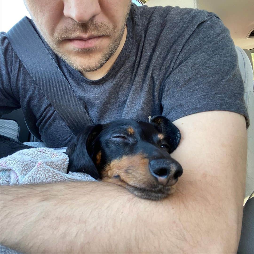 Crusoe the Celebrity Dachshundのインスタグラム：「He’s coming home.」