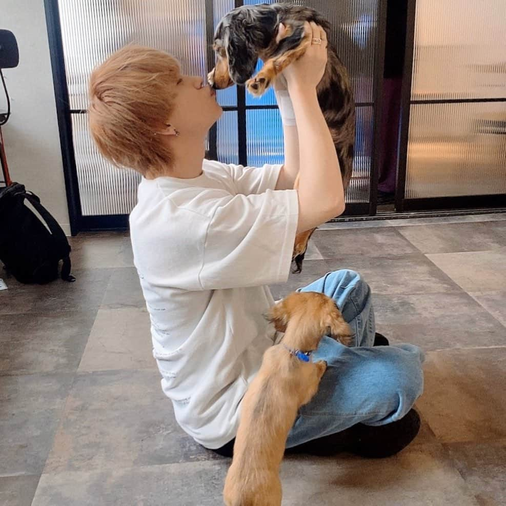 深谷柊さんのインスタグラム写真 - (深谷柊Instagram)「たろくん宅のアラン君！&新入りの花ちゃん🥰」6月7日 1時30分 - petite_shumero