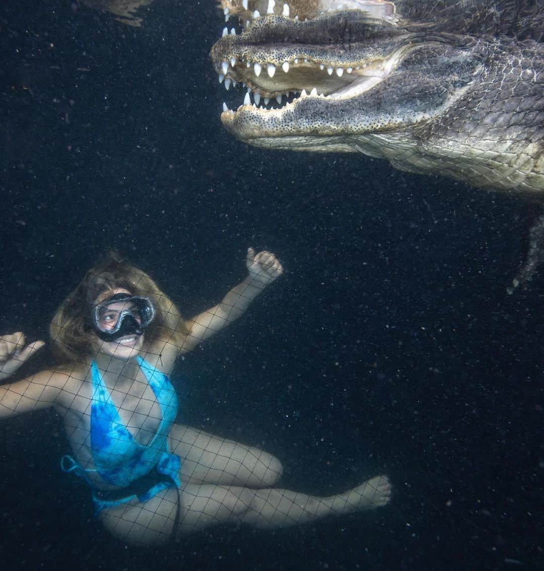 Leleponsさんのインスタグラム写真 - (LeleponsInstagram)「The most amazing experience in the world!! Swimming up close to my #1 favorite animal🐊🐊🐊 if you know me, you know how obsessed I am with alligators and their history! Thank you so much @gatorboys_chris and @evergladesoutpost for making this happen! Best early birthday present ❤️」6月7日 3時15分 - lelepons