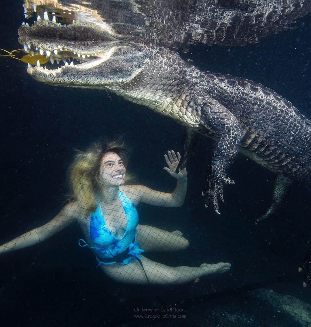 Leleponsさんのインスタグラム写真 - (LeleponsInstagram)「The most amazing experience in the world!! Swimming up close to my #1 favorite animal🐊🐊🐊 if you know me, you know how obsessed I am with alligators and their history! Thank you so much @gatorboys_chris and @evergladesoutpost for making this happen! Best early birthday present ❤️」6月7日 3時15分 - lelepons