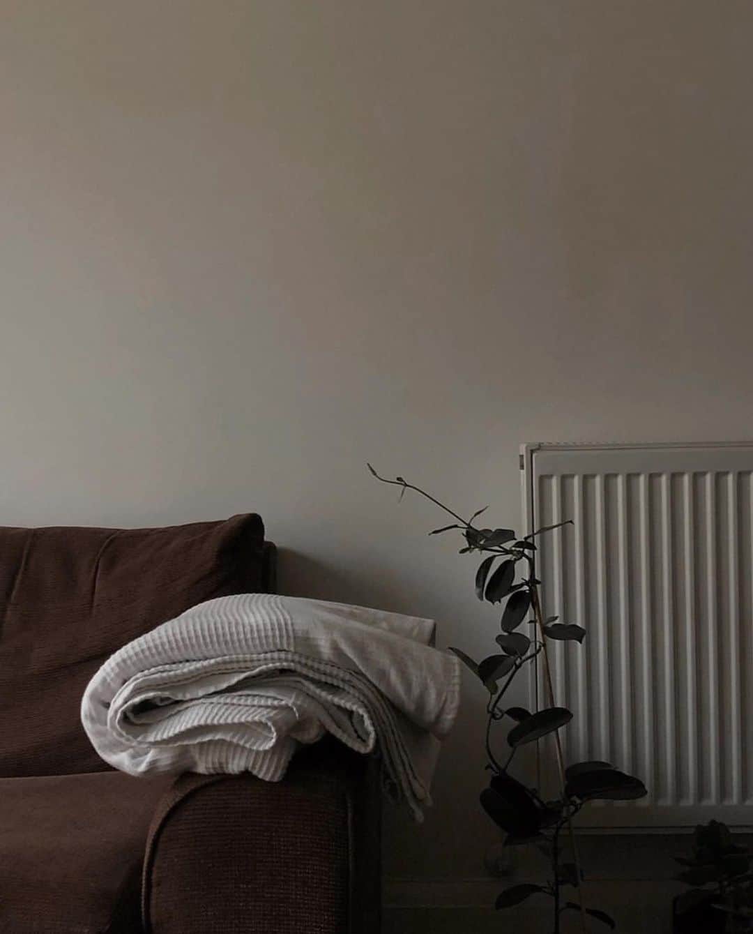 エレオノーラ・カリシのインスタグラム：「weekend plans  via @ownwayofinspiration 🌱」