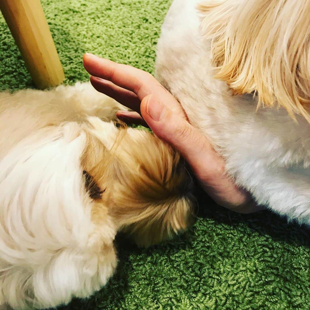 北山陽一のインスタグラム：「これどういう状況かわかりますか…… #きたやまおかき #きたやまおもち」