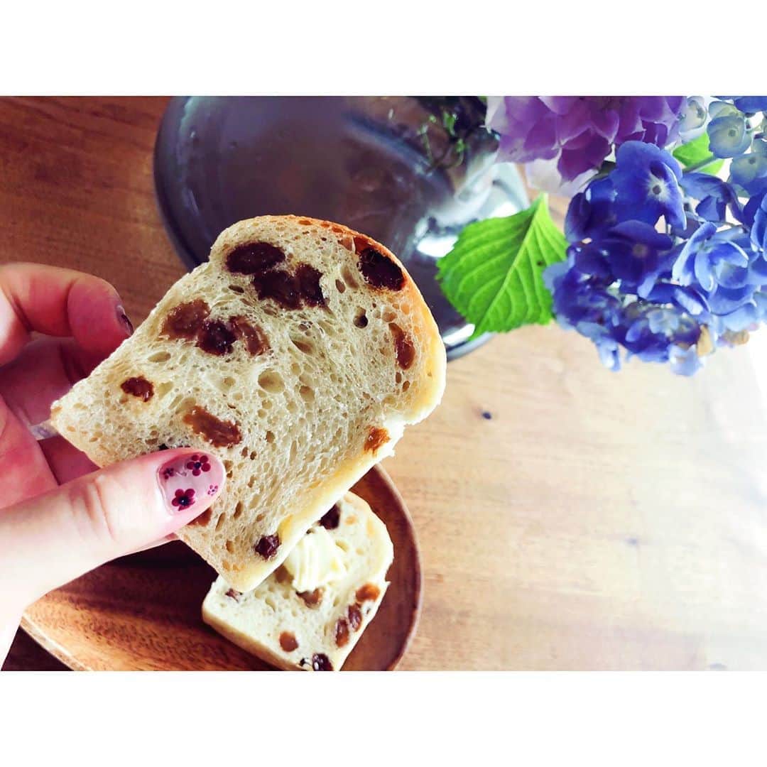 木南晴夏さんのインスタグラム写真 - (木南晴夏Instagram)「だいすきな @onthedishbread さんの マスカット食パン💚  優しくてもちもちして 自然と笑顔になるパン。」6月7日 15時59分 - kinamitopan