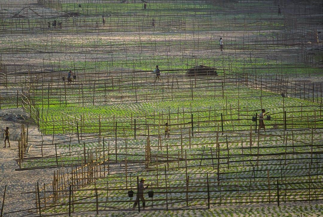 Michael Yamashitaさんのインスタグラム写真 - (Michael YamashitaInstagram)「Troubled waters: the Mekong River is in crisis, at its lowest level in a hundred years. A drought in the lower basin countries of Thailand, Cambodia, and Vietnam coupled with new dams built upstream in Laos and China, have exacerbated a perilous water shortage largely caused by climate change. With the drastically reduced water levels affecting food crops grown on its banks and fish stocks that have fallen sharply, many of the 60 million people who depend on it have been forced to give up their former livelihoods as farmers and fishermen.  Here’s what the healthy banks of Luang Prabang looked like back in the 90’s when I traveled the river from its source on the Tibetan Plateau to its mouth in Vietnam’s Mekong Delta. Hoping that the approaching rainy season will be long and heavy this year. . #LuangPrabang #Laos #MekongRiver #mekong」6月7日 7時21分 - yamashitaphoto