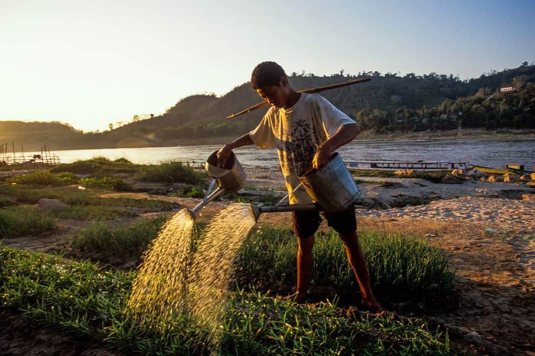 Michael Yamashitaさんのインスタグラム写真 - (Michael YamashitaInstagram)「Troubled waters: the Mekong River is in crisis, at its lowest level in a hundred years. A drought in the lower basin countries of Thailand, Cambodia, and Vietnam coupled with new dams built upstream in Laos and China, have exacerbated a perilous water shortage largely caused by climate change. With the drastically reduced water levels affecting food crops grown on its banks and fish stocks that have fallen sharply, many of the 60 million people who depend on it have been forced to give up their former livelihoods as farmers and fishermen.  Here’s what the healthy banks of Luang Prabang looked like back in the 90’s when I traveled the river from its source on the Tibetan Plateau to its mouth in Vietnam’s Mekong Delta. Hoping that the approaching rainy season will be long and heavy this year. . #LuangPrabang #Laos #MekongRiver #mekong」6月7日 7時21分 - yamashitaphoto