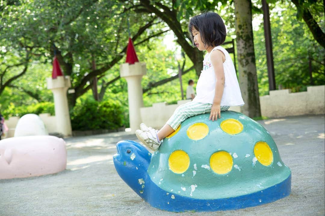 石井寛子のインスタグラム：「2020年初夏 2016年春  すっかり大きくなりました🤗」