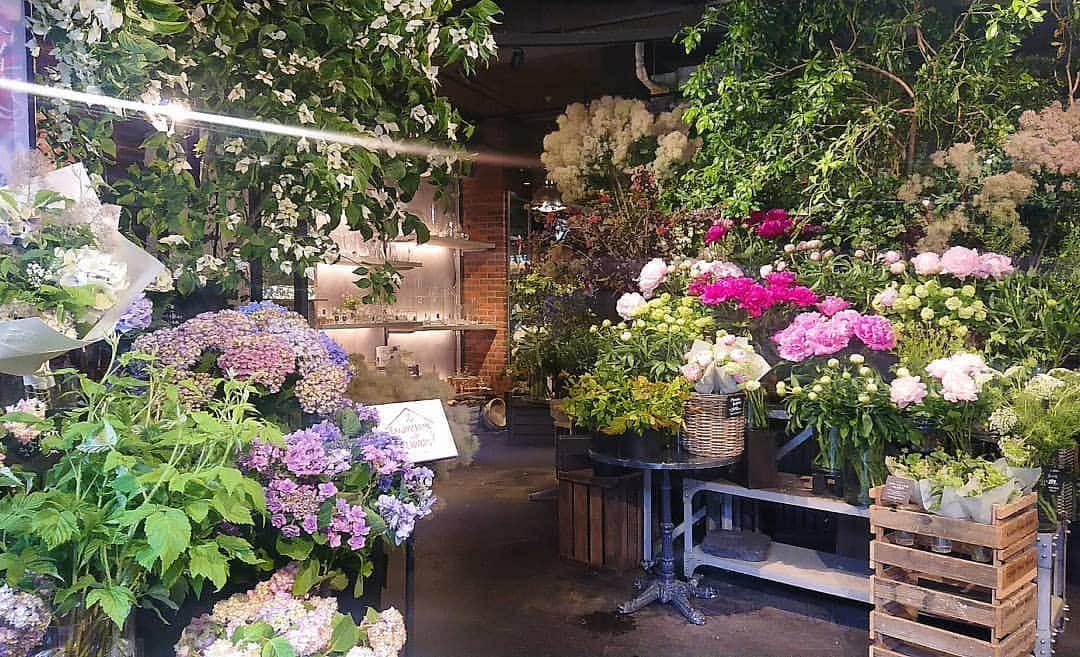 AYUNAのグルメインスタ