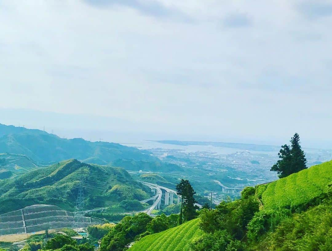 鳥越佳那さんのインスタグラム写真 - (鳥越佳那Instagram)「静岡らしい 萌黄色(もえぎいろ)の景色🌱✨ . 静岡市清水区の茶畑です🌱🌱 . 今日の #ごちそうカントリー  では "和紅茶"を紹介します😊 . 標高が350mほどあり 景色も最高〜〜✨ 朝は富士山と雲海も見えるそう🗻☁️✨ . そんな場所でいただく 和紅茶は、もう😳♡ . . 久しぶりに 生産者さんに直接お話を伺えました!! . この後 11:40〜 Daiichi-TVで放送です🍵 . . #ごちそうカントリー  #清水区 #jaしみず #和紅茶」6月7日 8時36分 - kana_torigoe