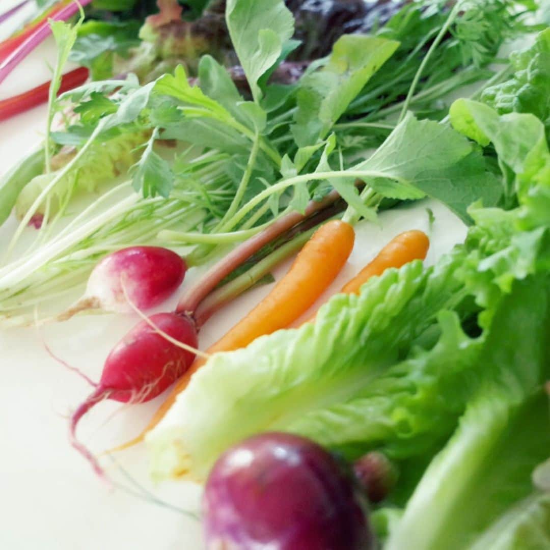HALCAさんのインスタグラム写真 - (HALCAInstagram)「信頼している農家さんがつくる﻿ 無農薬・無化学肥料の生き生きした野菜たち…﻿ もう眺めてるだけで力漲る👨‍🌾🥕🥬✨﻿ (実際、野菜そのものの味が濃くて﻿ 究極なにもつけない状態でも美味しい！)﻿ #vegetables #veggies #vegan #salad ﻿ #halcafe_vg #organicvegetables」6月7日 9時01分 - halca_