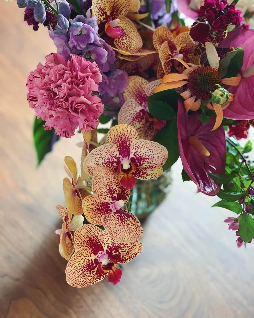 泉里香さんのインスタグラム写真 - (泉里香Instagram)「癒し‥💐」6月7日 9時13分 - rika_izumi_