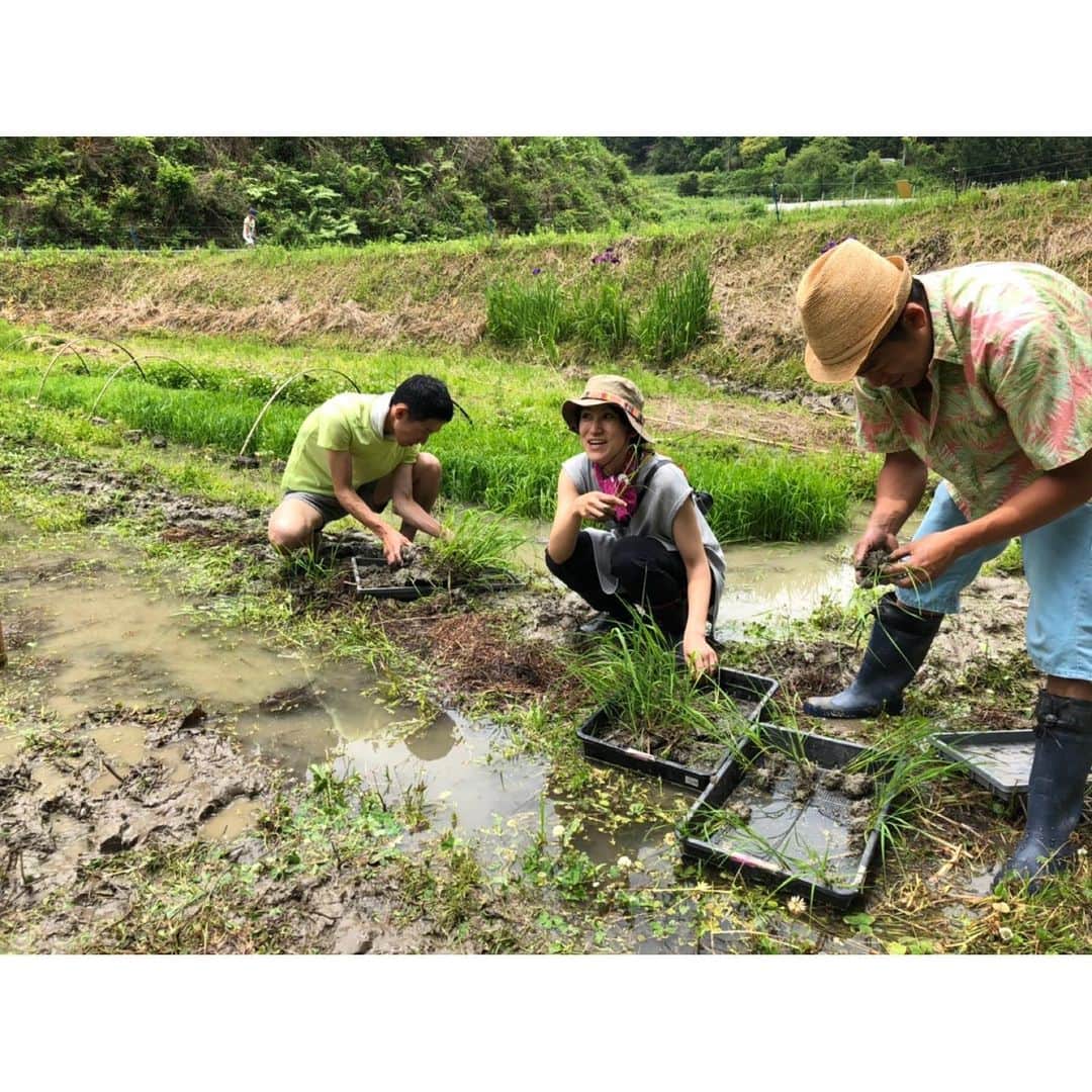 空木マイカさんのインスタグラム写真 - (空木マイカInstagram)「昨日はグリジャ田植え部でした！こちらも自然農で🌾水は雨水と山からの湧水のみ、すべて手作業です。またこちらも編集したらグリジャチャンネルに動画アップしまーす！土をいっぱい触った後は体がとっても気持ちいい☺️ ・ ブヨに刺されたところは地元の人たちのヨモギによる素早い対処で翌日も全然腫れず😳すごい👏 #グリーンジャーニー #田植え #自然農」6月7日 9時50分 - maika_utsugi