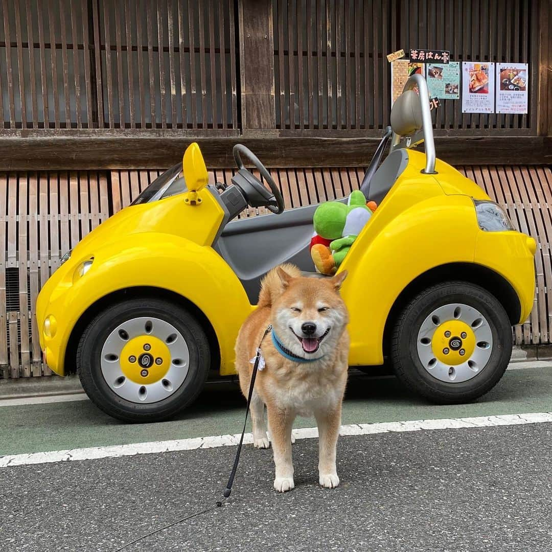 まる（まるたろう）のインスタグラム