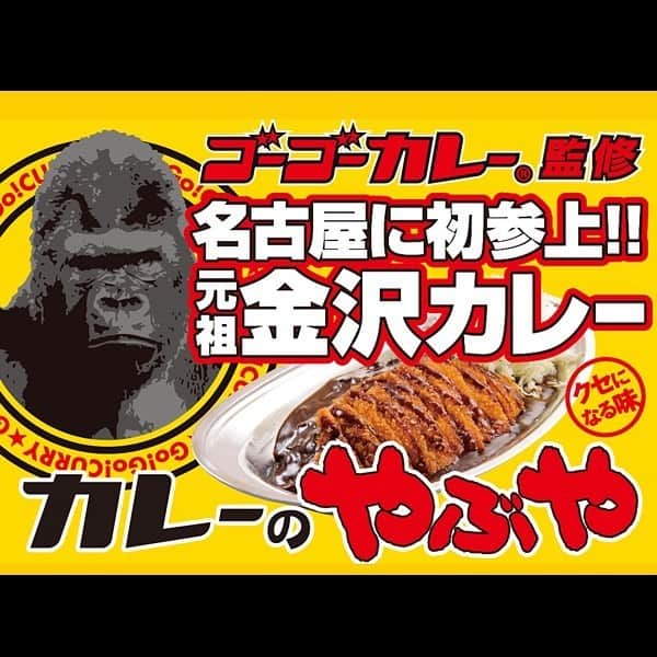 ゴーゴーカレーのインスタグラム：「金沢カレーブームの火付け役‼️‬ ゴリラのマークでおなじみ「ゴーゴーカレーグループ」が名古屋初上陸‼️‬ 6/8、「ひつじのやぶや」がランチライムは「カレーのやぶや」としてオープン❗️ 愛知県の皆様にもクセになる味「金沢カレー」を食べていただけることとなりました❗️ ≪平日ランチタイム限定・１日100食限定≫（8日は12時、9日から11時オープン※14時まで。売り切れ次第終了） . 名古屋市中村区名駅4-15-1 柳橋市場オケタセコヨ隣！「ひつじのやぶや」へGO!GO! . . . . .  #ゴーゴーカレー #curry #金沢グルメ #japanese  #お得 #gogocurry #カレー #カレーを華麗にいただきます #お取り寄せ #日本 #japan #金沢カレー #金沢 #石川 #カレー部  #揚げ物 #foodstagram  #カツカレー #yummy #サービス #eat　#食べ歩き  #curry #金沢グルメ #japanese  #やぶや #テイクアウト #カレーのやぶや　#名古屋」