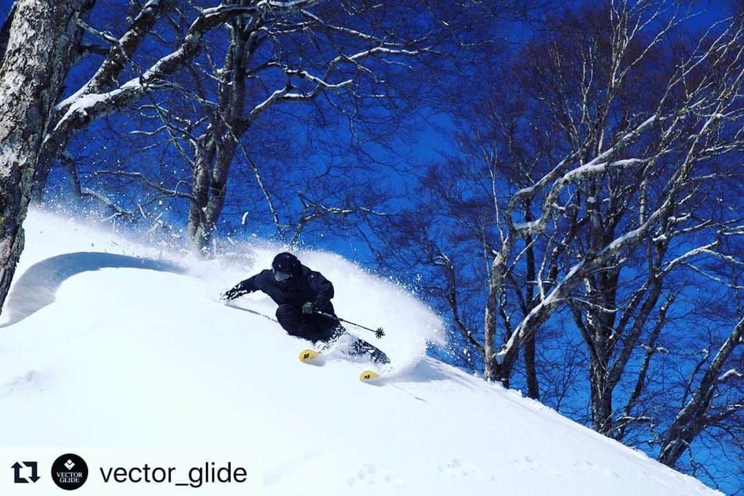 遠藤尚さんのインスタグラム写真 - (遠藤尚Instagram)「#Repost @vector_glide with @make_repost ・・・ Rider & Guide impression -Sho Endo- MAKE BC  僕はMAKE BCではどんな事が"make"できるのか、そんなシャレみたいなこと考えながらワクワクした気持ちでリアハッチからMAKE BCを取り出し駐車場からスキー場へ向かう。  僕がはじめてMAKE BCを手にした時、パーク板かな？と少しラフなスキーを想像してスキーを履きリフトに乗る。 皆さんも経験があると思いますがリフトでなんとなく板を左右に振ったり前後にバタバタと動かしたりと、どことなく軽いのか重いのかなど確認をすると思います。 僕はと言うと、決まってリフトの上からリフト下の枝や凹凸を見てあたかも滑る様にスキーを動かすとその軽さ動かしやすさがわかります。 100mm前後のウエストに180cmとけして短いスキーではないが、圧倒的なスイングバランスの良さから来る軽さ動かしやすさを感じる事ができる。  実際に乗ってみると想像していたラフなスキーはどこにもなく足元の感覚が良くトップからテールまで綺麗にしなりながらターン弧を描く、早朝のグルーミングバーンの楽しみのひとつをmake出来た気持ちになる。 さらにスキー場山頂付近では昨晩から降り続けたであろう30センチほどの新雪が待っていた。 ここでMAKE BC本当の力を知ることになる。  新雪をフワフワとかき分けながら斜面に入ると、グルーミングで、あんなに噛んでいたトップから浮力を感じてスキーが走っていく。 MAKE BCはフロントロッカーにテールロッカーとスキーに浮力を生むスキーの形状を採用している。  僕はパウダーからグルーミング、グルーミングからパウダーをひたすから繰り返し滑りこみ下山途中コースを変えパークを見つけ入ってみた。 グルーミングバーンの中にキッカー、軽いカービングから360をmakeできた。スイングバランスの良さ、スキーの軽さどこをとっても良い感覚だ。 VECTOR GLIDEには珍しいツインチップスキーだが、ウエストが100mm前後で足元の感覚がよく雪面の状況がよくわかり、エッジをしっかり噛ませて滑るカービングを全力で楽しめ、パウダーの中でも浮力も操作性を損なわず、パークでも自由な空中を可能にするそんな本当のオールラウンドスキー、それがMAKE BC。  あなたのHome Mountainで新しい感覚をmakeしてください。  Text: @shoendo7  プロフィール欄VECTOR GLIDE web siteより写真や動画を掲載したフルバージョンをご覧いただけます。 合わせてご覧ください。  #vectorglide #whitetume_tokyo」6月7日 10時35分 - shoendo7