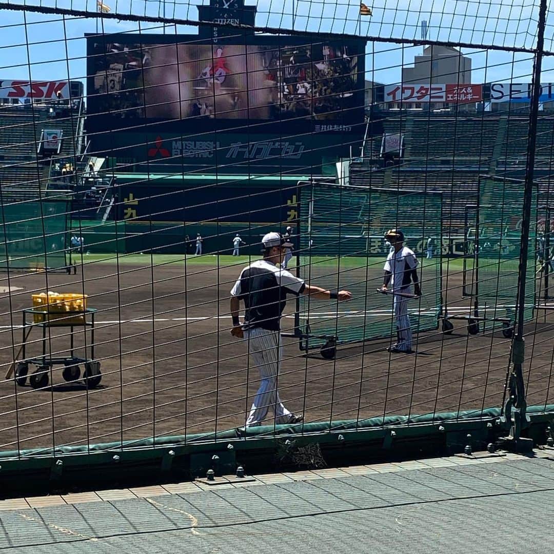 狩野恵輔さんのインスタグラム写真 - (狩野恵輔Instagram)「今はOBでもグラウンド内に入れません。 1番近くてもここです。 でも本当にみんないい顔してます。 いゃー野球って本当に素晴らしいもんですね。 （水野晴郎風）  #阪神タイガース #甲子園球場 #プロ野球 #水野晴郎 #名台詞 #糸井嘉男 #上本博紀 #木浪聖也 #新井良太 #狩野恵輔 #タイガースai #解説」6月7日 11時12分 - keisuke_kanoh_official