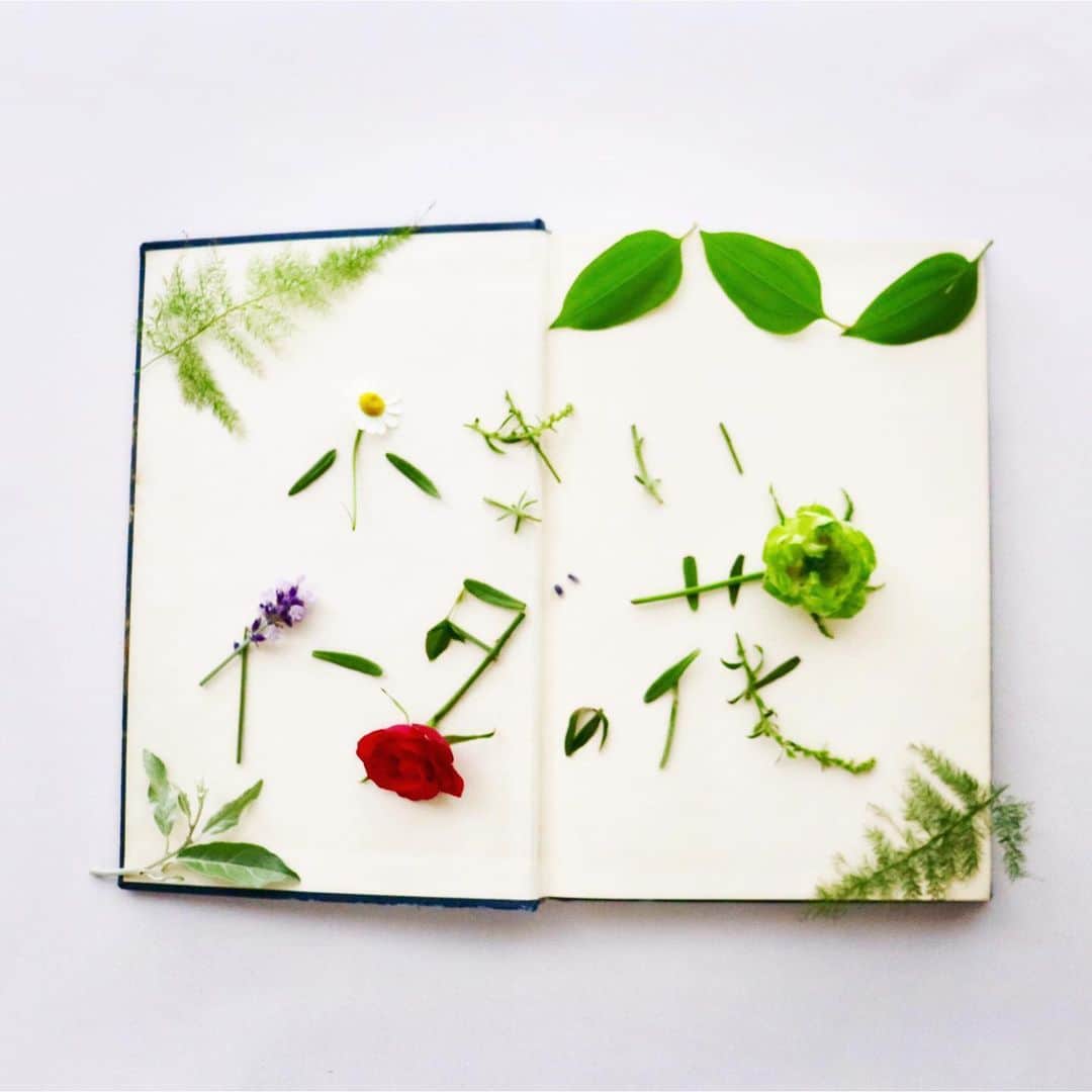 今村沙緒里のインスタグラム：「『小さいイーダの花』 "動く砂の絵本" 創りました。 朗読×音楽×サンドアート！ なんと初監督もしました🎬 プロフィールのURLからどうぞ★ 原作：アンデルセン 朗読/監督：今村沙緒里  音楽：笠松泰洋  サンドアート：emullenuett ・ COVID-19で日本も世界も大変な状況ですが、 アートを通して、少しでもエネルギーに、 優しい時間になれたら。 今、わたしたちにできることを、 自分たちの表現で、お届けしたい。  それぞれの分野で活躍する アーティストに集まっていただき、  この時代に、この作品に思いをこめました。  笠松さん、トモエさん、エリカさん、 素敵なメンバーに感謝です＊ 初監督は超大変でしたが… (監督ってすごいなぁ、と実感。) メンバーのおかげで良い作品ができました！ 子供から大人の方まで、 たくさんの方に見ていただきたいです！！ お友達やご家族に、 シェアしていただけたら、嬉しいです＊ まずはご覧ください💜💜💜 ・ My first director work🎬 "small ida's flower" Please check my URL. I made with good members❤︎ thanks. To all the victims of COVID-19 in the world. We pray for souls rest in peace... ・ #movie #art #music #sandart #photo #director #creative #꽃　#아트 #감독　#小さいイーダの花 #アンデルセン #花 #命 #見てください #たくさん届きますように」