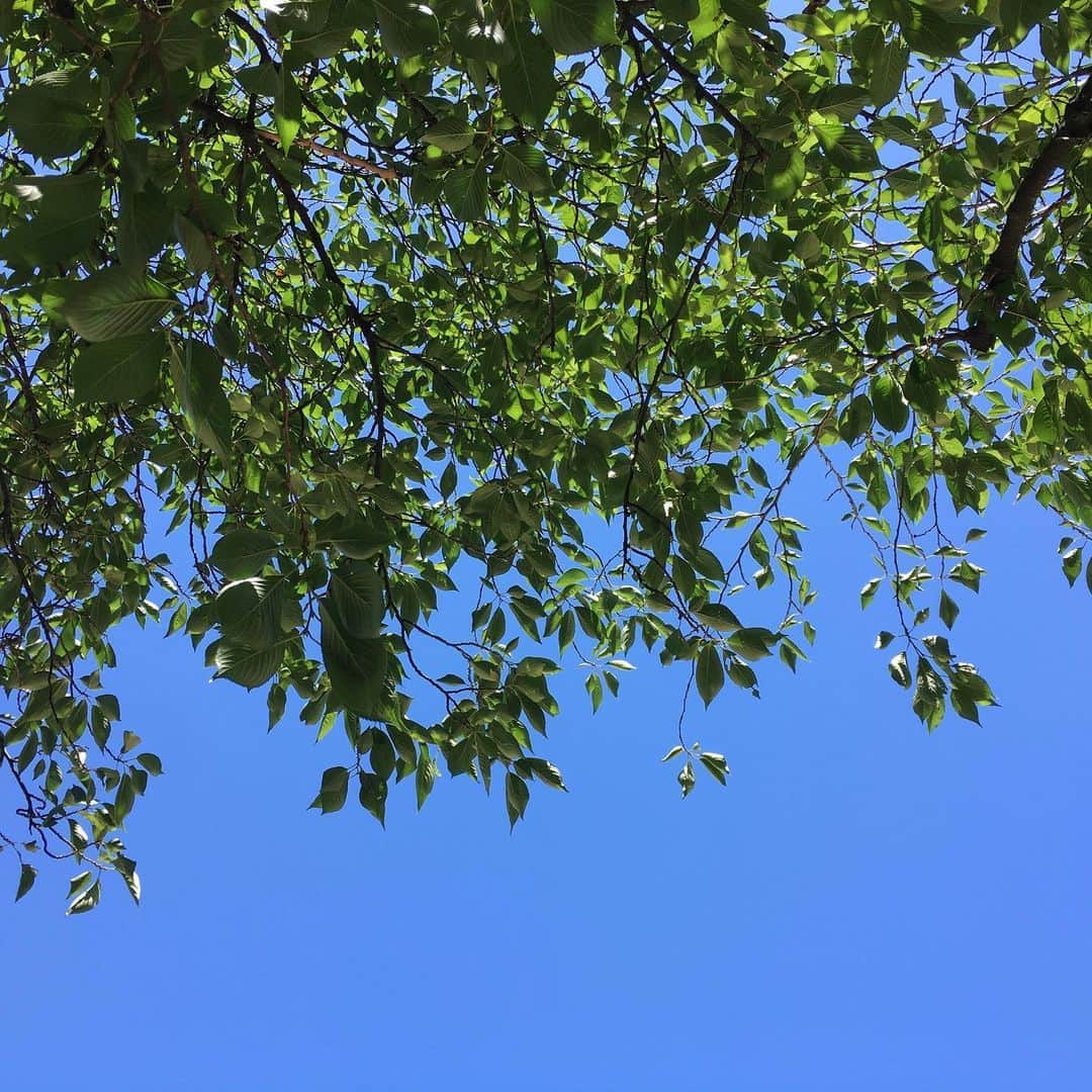 平野由実さんのインスタグラム写真 - (平野由実Instagram)「きれいな青空 #加工なしの空」6月7日 11時40分 - yumi_hiranoo