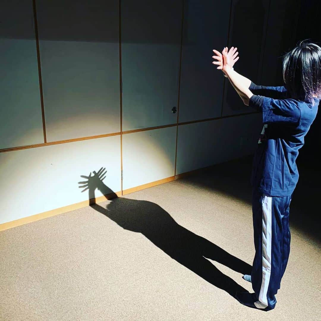 安済知佳のインスタグラム：「番組ラストイベントまであと6週  #安済知佳いちかばちか #ちかちか  #カウントダウン #おわかりいただけただろうか #そう #シャツ変えてる #クールなネイビー #そしてかーーに #かにかに #影蟹 #うまくできました」