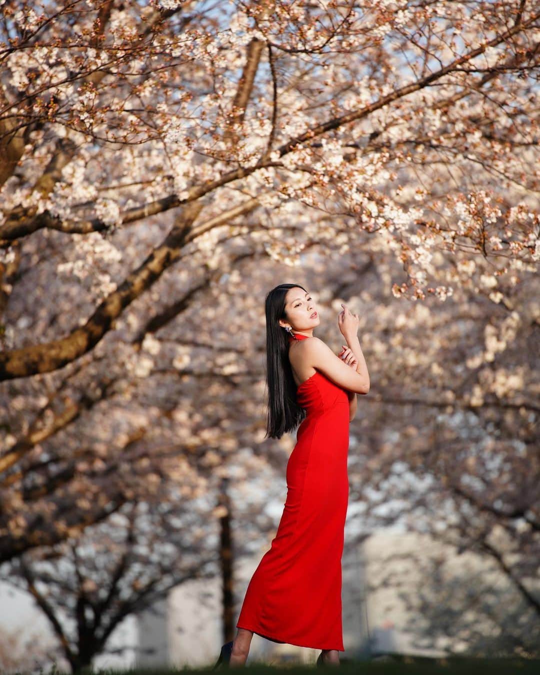イルコ光の魔術師のインスタグラム：「毎日アップ頑張る❗️この前の桜のときの写真でーす❗️Tamron 70-180mmレンズで撮ってます、180mmです！この前このレンズの動画アップしたので、まだ動画見てない方ぜひチェックしてね❗️右からストロボ1灯でライティング❗️. . モデル: @mi_portrait . . 新しい @ilkomobile アカウントにiPhoneで撮ってるポートレートもアップしますよ！いい光があればカメラ&レンズはなんでもいいと思います . . #ストロビスト #ポートレート #桜 #180mm #Tamron #instagramjapan #青森 #東京カメラ部 #ig_today #igersjp #tokyocameraclub #instalike #instagramhub #team_jp_ #vscogoodshot #strobist #strobistlighting #portrait_perfection #iphonephotography #イルコ #光の魔術師 #桜 #instagramhub #カメラ女子 #iphoneography  #lovers_nippon #ファインダー越しの私の世界 #写真好きな人と繋がりたい #portrait」