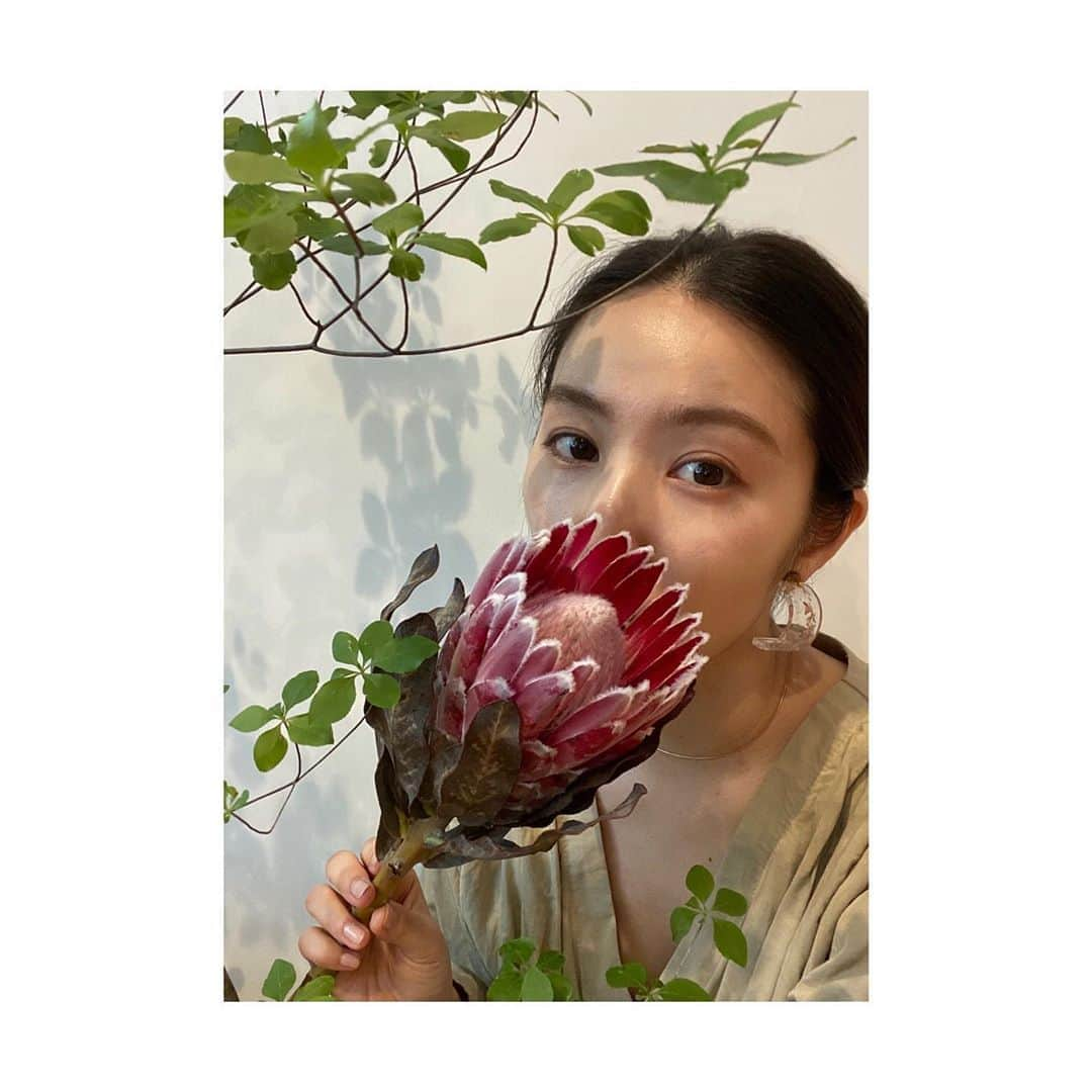 徳永えりさんのインスタグラム写真 - (徳永えりInstagram)「... お天気の良い日🌼 朝からラジオを聴きながら、 洗濯して掃除してまったり日曜日😌 ' 〈自分のからだを大切に〉と言われた日から、 できるだけ自分に優しくと心掛けています🌿 その一つに、とにかくよく噛んで食べること✊🏻 片方ばかりで食べていたことにも気付いたので、 反対側でよく噛んで食べるようにしたら、 顔が筋肉痛になりました😳 あとよく噛むと食べる時間もゆっくりになるので、 お腹もいっぱいになり体もぽかぽかしてきます✌️ これから仕事が始まると、 なかなか自分に気を遣ってあげられなくなりますが、 自分のペースで自分を大切にしたいと思います🌷」6月7日 13時59分 - eri_tokunaga.official