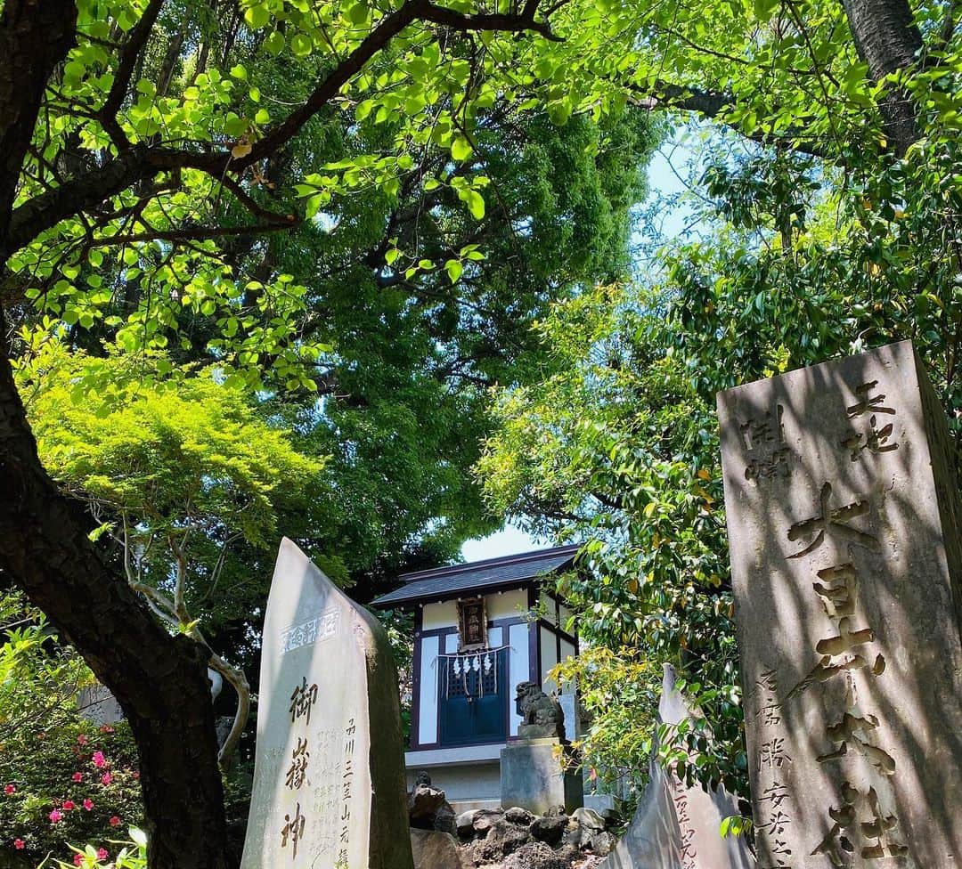 兼田恵さんのインスタグラム写真 - (兼田恵Instagram)「仕事終わりにいつも車窓から見えて気になってた場所に寄り道してきました その1。  #品川神社 #緑がきれいな季節 #工事中 #階段きつくて息切れしたよね」6月7日 13時53分 - earl_megu