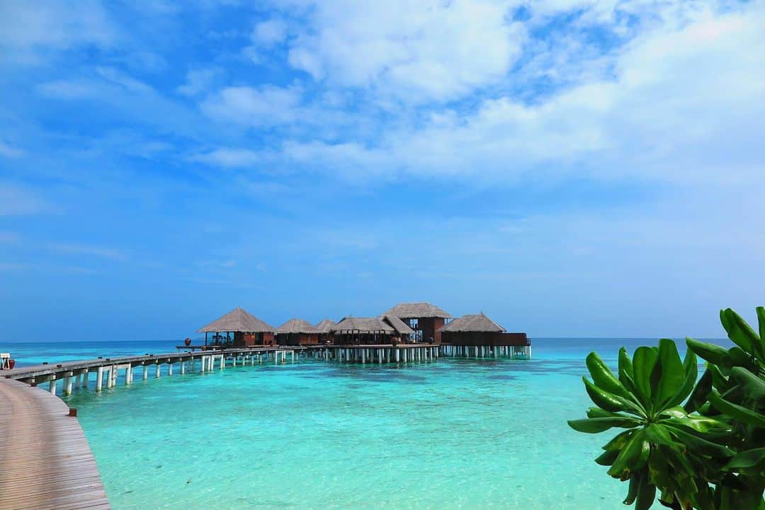 DJ YURiAさんのインスタグラム写真 - (DJ YURiAInstagram)「🏝🏝🏝﻿ ﻿ ﻿ 暑過ぎて海に潜りたい👙﻿ ﻿ ﻿ いつか娘も連れて﻿ また行きたいな🥰 ﻿ ﻿ ﻿ #tbt #maldives  #髪切りたい衝動」6月7日 14時03分 - djyuria