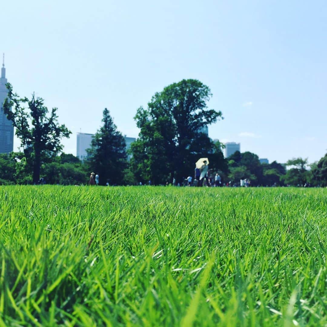 ふかしのインスタグラム：「#新宿御苑」