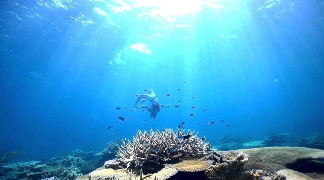 青木愛さんのインスタグラム写真 - (青木愛Instagram)「よっこいしょ！って声が聞こえてきそうなくらい私のまわり方がダサいけど、魚と珊瑚と光がめちゃくちゃいい感じ♡🐠🐠🐠✨✨ ﻿ #フィジー﻿ #過去pic﻿ #遅刻post」6月8日 0時47分 - aiaoki_official