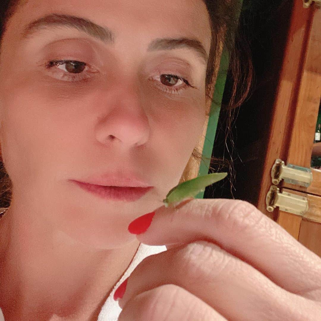 Giovanna Antonelliのインスタグラム：「.... É a última que morre..... #esperança 🙌🏻 * Se tiver 1% de chance, tenha 99% de fé. *Vira seu rosto na direção do sol, q as sombras vão ficar para a trás.  É nesse 'mood' q inspiro teu domingo. #positivevibes  Deixa uma msg nessa vibe aqui.... será q rola?? 😉」