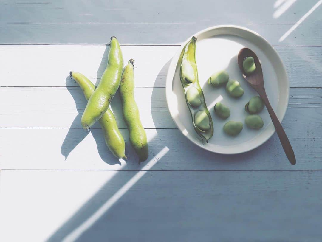 naorinmoonさんのインスタグラム写真 - (naorinmoonInstagram)「そら豆ってなんてかわいいんだろう . . . #そら豆  #broadbeans  #ig_hokkaido #instagramjapan #ig_japan_ #indies_gram #ifyouleave #as_archive  #vscocam #still_life_mood #reco_ig  #ig_eternity  #dof_brilliance #heart_imprint #helios44 #oldrens #infinity_softly #thehub_macro」6月7日 16時26分 - naorinmoon