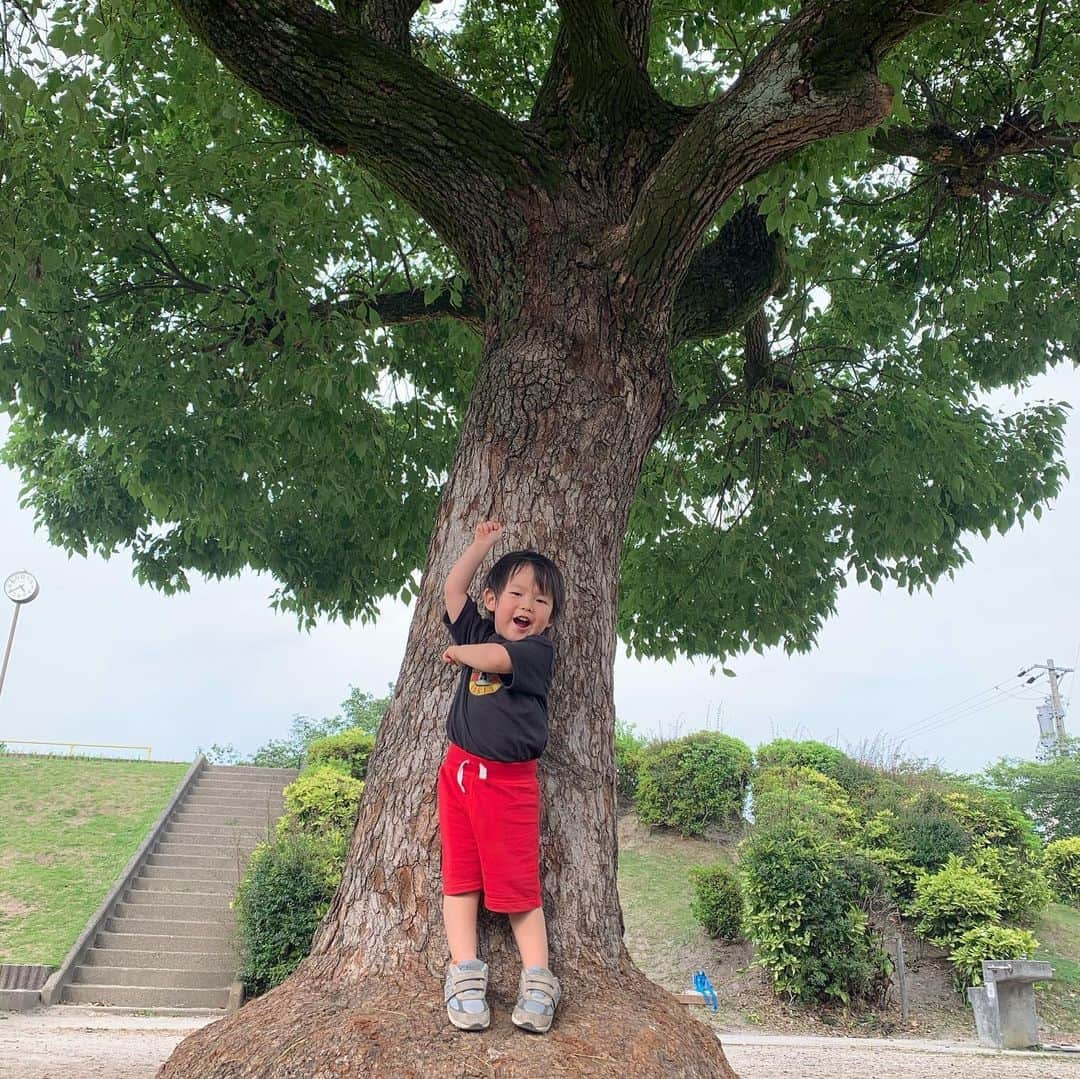 Yukari Imaiさんのインスタグラム写真 - (Yukari ImaiInstagram)「👦🏻♥️👶🏻」6月7日 16時53分 - yukari_magnese