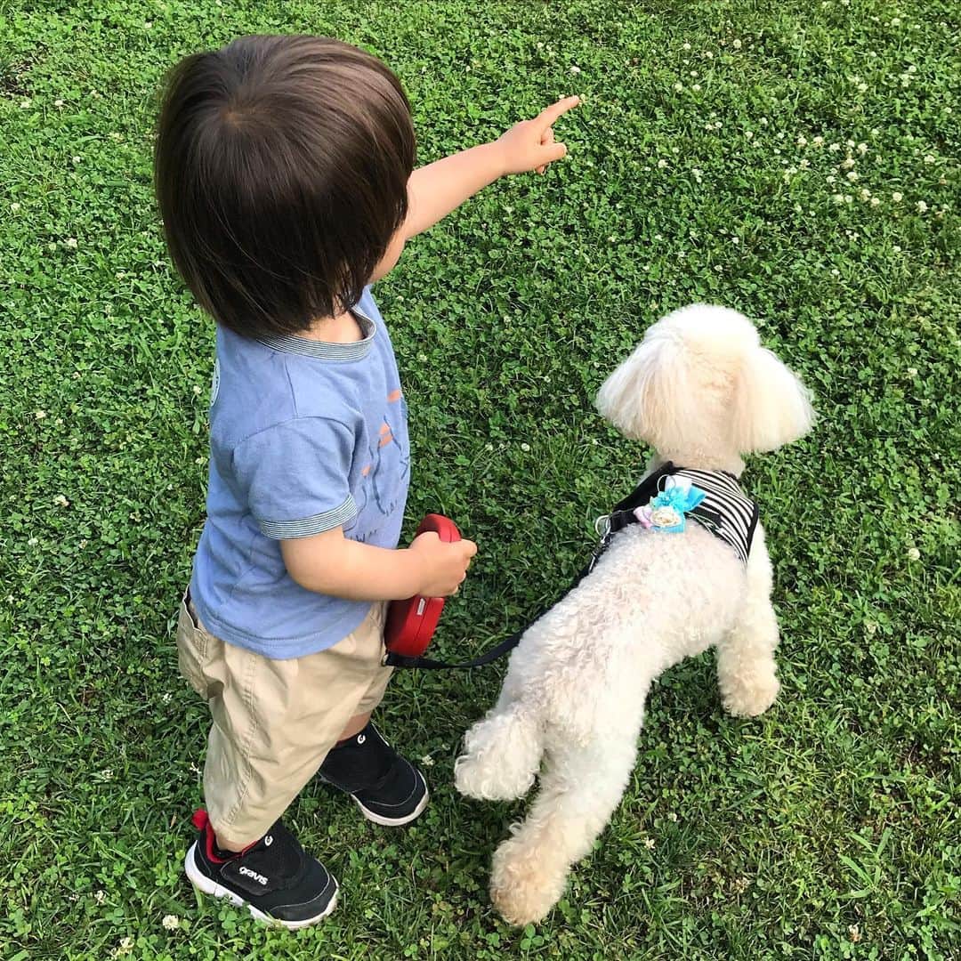 sioneのインスタグラム：「いつもの公園に久しぶりに。」
