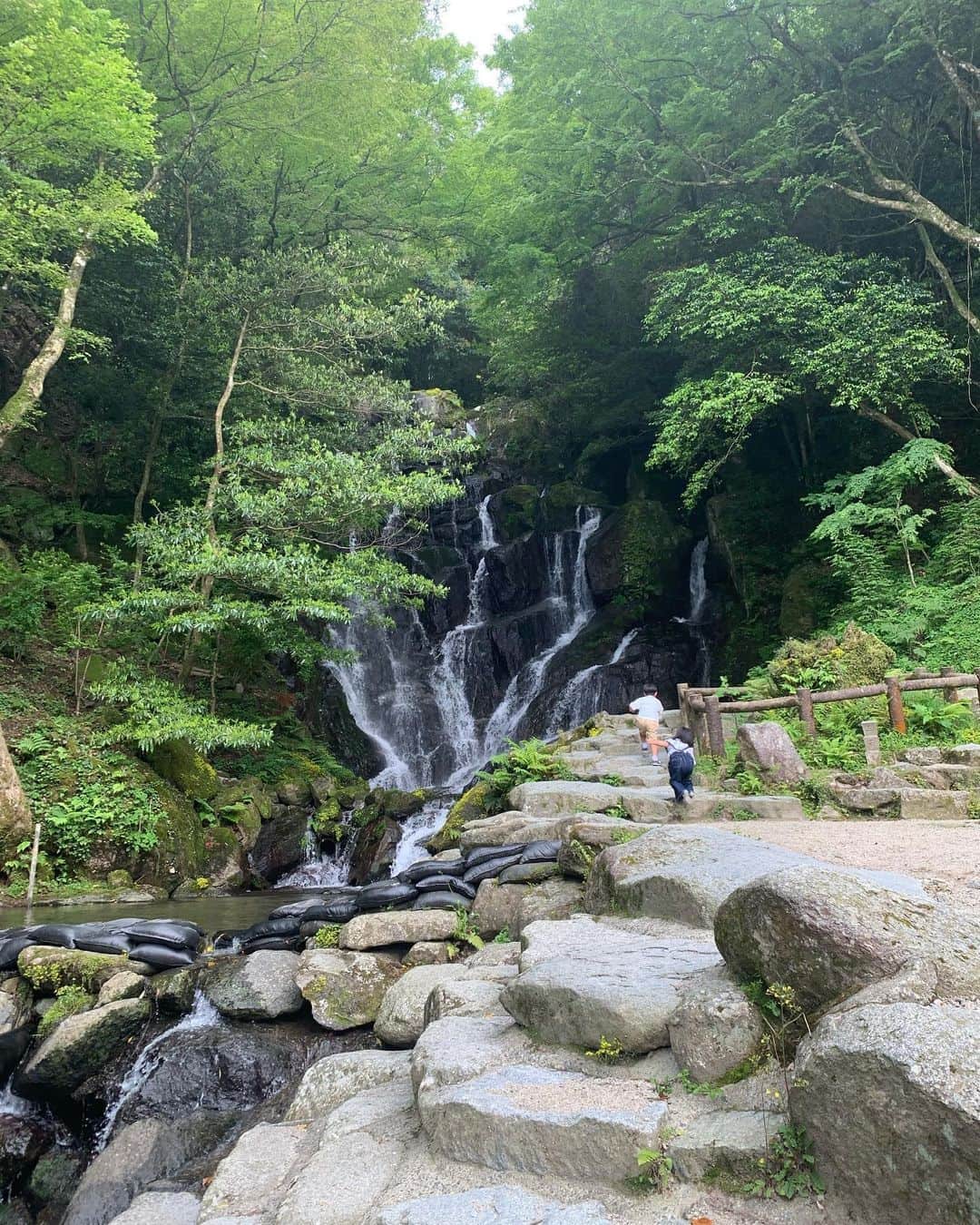 赤星拓のグルメインスタ