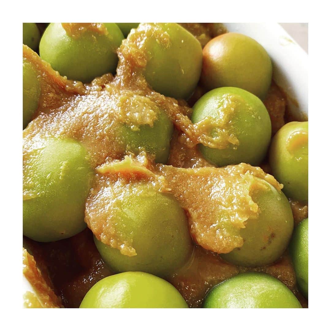 HiRAO INCのインスタグラム：「. Miso pickled plum  青梅の実 梅酒にするか 梅干しにするか考えて 梅の味噌漬けに  甘い味噌床に、梅をつけておくだけ。 1カ月後が楽しみ。」