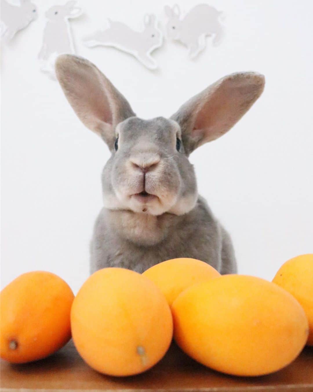 Kayoのインスタグラム：「ビワと思った？ ちゃうねん、これミズレモン🍋 ・ ・ パッションフルーツの仲間やけど、全然酸っぱくないの！ 爽やか〜♡ 3枚目の写真の右側がパッション。 切った見た目はほぼおんなじやのに、 果汁も透明に近くてしあわせな甘さ♡」