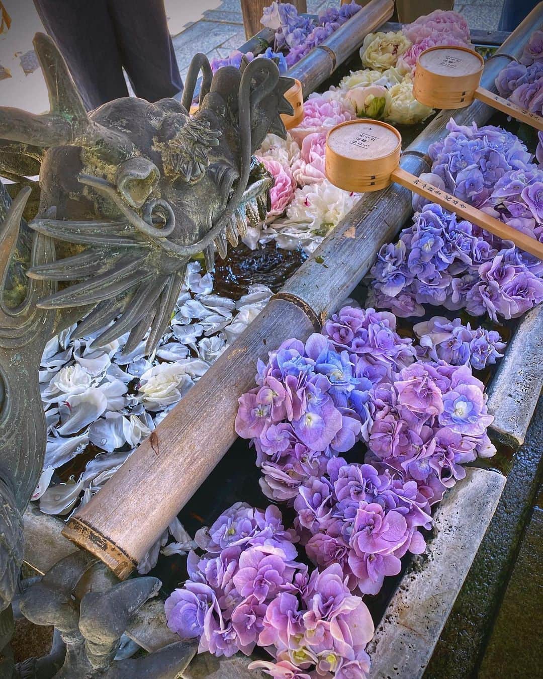 のインスタグラム：「京都府長岡京市#楊谷寺 (スライドして下さい) Location Kyoto Japan (Swipe)  2020.6.7  やっと県を跨いだ花追い💠💠紫陽花追いかけて来ました🚗💨紫陽花って快晴続きだと少し元気が無い😓ここ楊谷寺の花手水の紫陽花は活きいきとしていました。  #神社仏閣　 #寺院仏閣　 #美しい日本　 #日本庭園  #おとな旅プレミアム　 #絶景delic  #そうだ京都行こう　 #こころから  #タビジェニ　 #日本ツアーズ　 #japan_daytime_view  #japan_bestpic_  #top_favorite_shots  #japan_vacations  #team_jp_西  #inspring_shot #beautiful_kansai #worldbestshot  #japanesetemple  #japanesegarden  #lovers_united_japan  #jalan_travel  #joytb  #dokoiku」