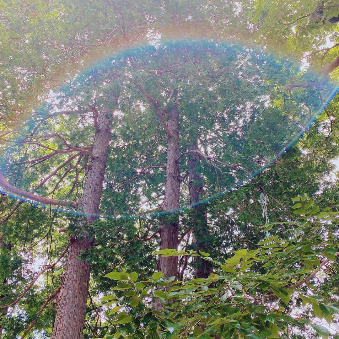 関口愛美さんのインスタグラム写真 - (関口愛美Instagram)「レンズに光が反射しただけなんだろうけど…大きな目みたい👁  #虹 #光の反射 #フレア #rainbow #杉 #instanature #nature #naturephotography」6月7日 18時11分 - sekiguchiaimi