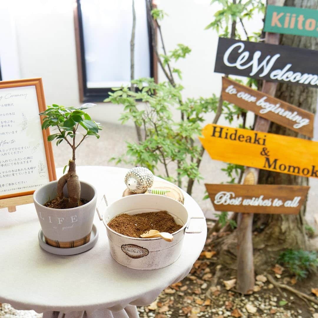 The Sally Garden（ザ サリィガーデン）のグルメインスタ