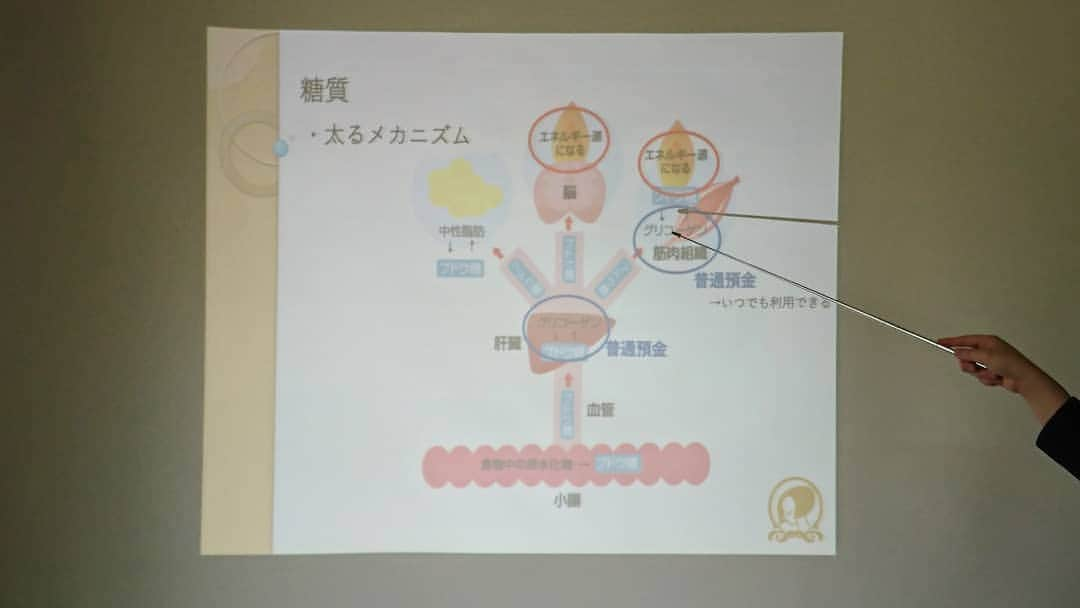 三津谷葉子のインスタグラム：「美容栄養学を学ぶための講義で、８時間みっちりお勉強🙆 ※少人数制で換気をしながらの講義です。マスクと消毒もしっかりと。  基本的な体のしくみや栄養学など、健康と美容の両方から学ぶことができて、とーっても楽しいです✏️🙌」