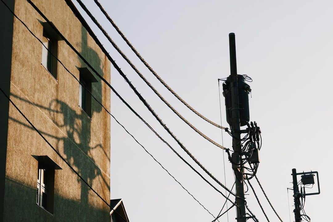 石山蓮華のインスタグラム：「西日の影で形を見せる #いい電線  あす朝8:25頃から SBSラジオ「IPPO」に出演します📻  #電線 #電柱 #electric #electriccable #electricalwires #electricwire #electricwirecable」
