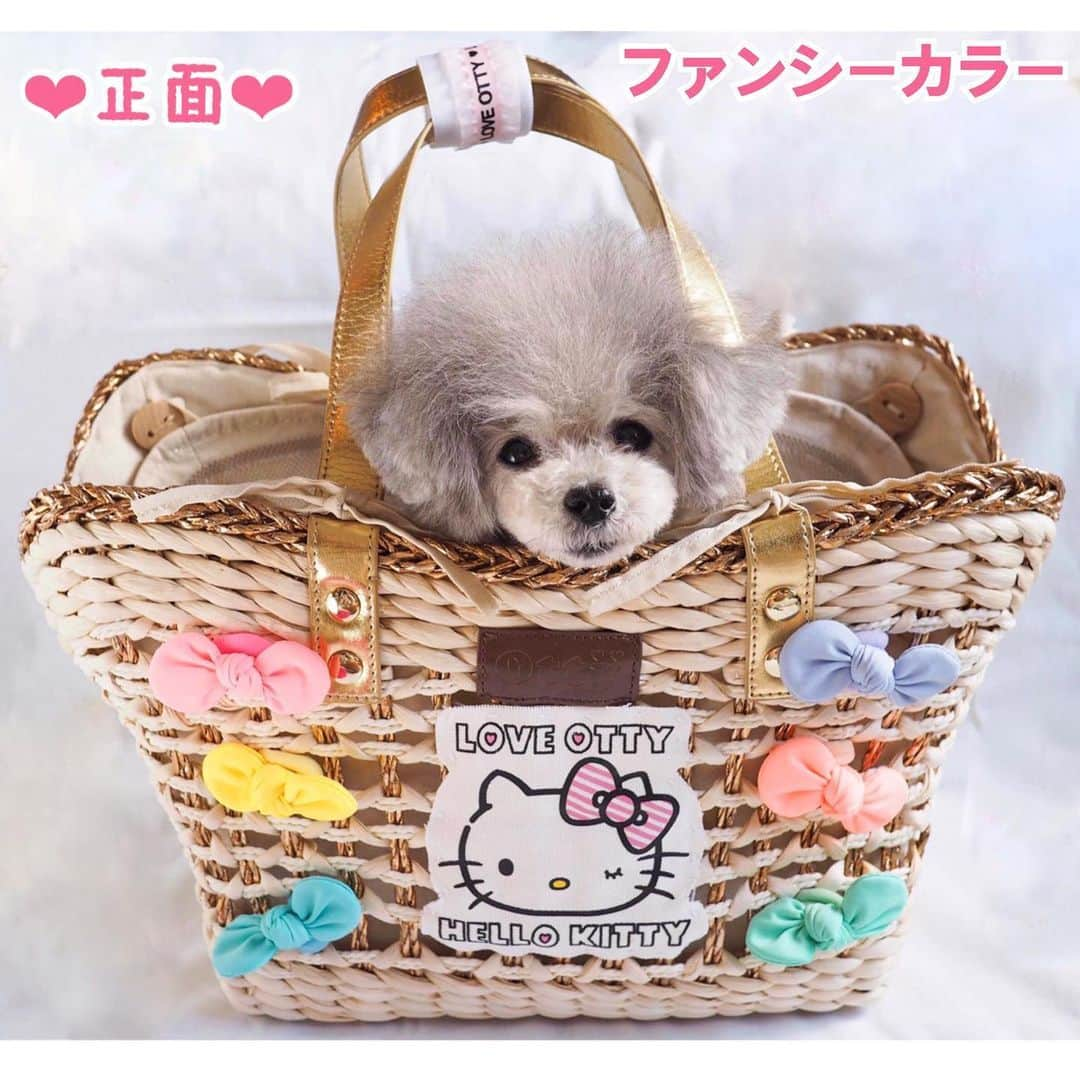 大原かおりさんのインスタグラム写真 - (大原かおりInstagram)「Otty新作商品🐶💞 6月10日(水)発売予定です♡ ⑅◡̈⑅ ❤️Otty×HELLO KITTYコラボ❤️ キャリーカゴバッグ ⑅◡̈⑅ 2013年から作り続けているOttyオリジナルのカゴバッグ🐶👜✨ 今年は、メッシュタンクとお揃いのウインクをしているキティちゃんのワッペンに、リボン6個付けの可愛いカゴバッグになりました👏😋💕 ⑅◡̈⑅ 夏用なので通気性を重視して、編んでもらっています。 横面はワンちゃんが顔を乗せてリラックス出来るように低くしてあります。 中袋の上部には、メッシュ生地が縫い付けらていて通気性が良いので暑い夏にはピッタリ。 ボタンと紐で止まっているので簡単に取り外せて洗濯機で洗えます。 メッシュ生地を絞れば巾着になるので電車やバスなどに乗る時にも便利です。 自立型のキャリーカゴバッグは、ワンちゃんも入っていて楽チンなのでオススメです🎶 ❤︎ カラーは3色展開♡ ファンシーカラー・モノトーン-白リボン多め・モノトーン-黒リボン多め ❤︎ サイズはSとMの２サイズです♡ ⑅◡̈⑅ 周りのリボンはゴムで止まっているので、簡単に付け外しが出来たり付け位置を変える事も出来ます🥰🎀 モノトーンカラーは、白いリボンが多めバージョンと、黒いリボンが多めバージョンがあります。 (ネーミングが雑でスミマセン。笑) ⑅◡̈⑅ ワンちゃんを入れずにオーナーさん用の通常バッグにもお使い頂けます。 夏の必需品“カゴバッグ”でおしゃれに差をつけてデートやお出かけを楽しんで下さい♡ ⑅◡̈⑅ #Otty #OttyDog #HELLOKITTY #Sanrio #オッティ × #ハローキティ #キティちゃん #キティちゃんコラボ  #キティコラボ #カゴバッグ #キャリーバッグ #犬グッズ #犬バッグ #通気性抜群 #夏のお出かけ #犬とのお出かけ #早くしたいね #DogGoods #LoveDog #🐶 #👜 #🎀 #💖 #💛 #💙 #💜 #💚 #🖤 #🤍」6月7日 19時38分 - oharagaori_otty