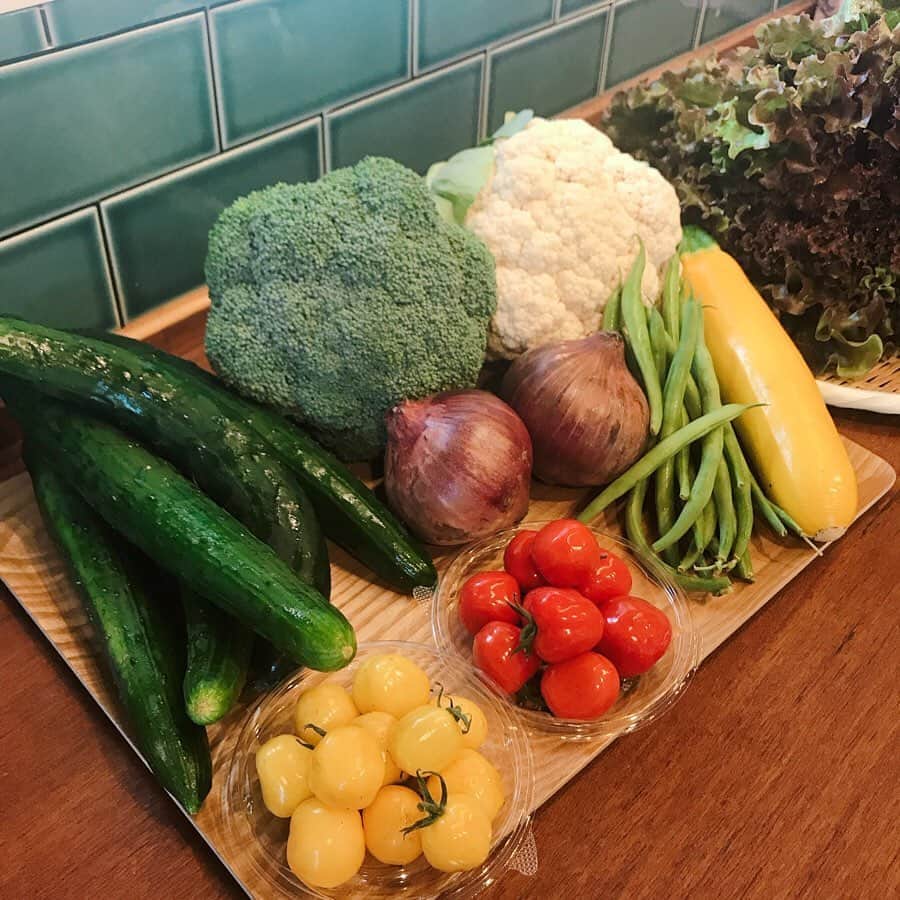 秋本ゆかりのインスタグラム：「@nagakawamarche さんがたくさんの新鮮野菜を届けてくれた🥦🍅🥒🧅🥬✨ 届けてくれた上に、これで1000円とは有難い🥺 お陰様でお野菜たっぷり頂きました😌 カリフラワーのポタージュは、普段カリフラワーに見向きもしない子供たちもお気に入りでたくさん食べてくれました☺️ .  農家さんも契約しているレストランや結婚式場がお休みになって大変だったようです😭 .  またタイミングがあった時はお願いしよう☺️」