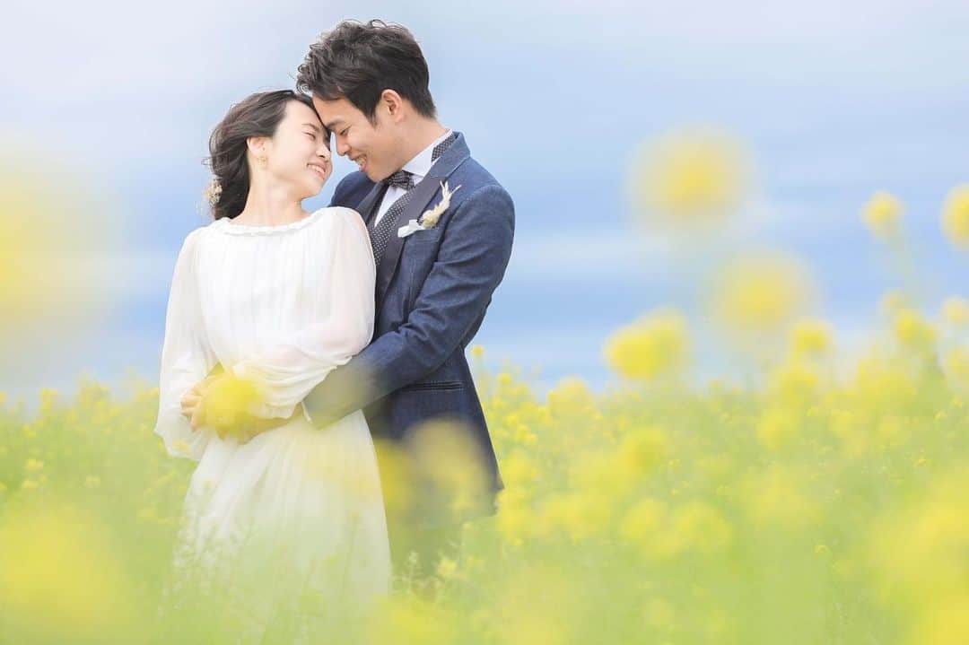 STUDIO SOLAさんのインスタグラム写真 - (STUDIO SOLAInstagram)「7月上旬、北海道ではまだ菜の花が楽しめます🌼﻿ 爽やかな色味が可愛いです！﻿ ﻿ ﻿ \\オンライン相談会はじめました//﻿ ご予約はプロフィール欄のホームページリンクから✨﻿ ﻿ 7月から9月の撮影予約も好評受付中です！﻿ ﻿ ﻿ ﻿ #パッチワークの丘  #STUDIOSOLA﻿ #スタジオソラ ﻿ @decollte_weddingphoto @decollte_weddingstyle @d_weddingphoto_jp﻿ #weddingphoto  #instagood #結婚式前撮り #新婚旅行 #チェリフォト #北海道旅行﻿ #富良野 #北海道前撮り#牧場 #ロケーションフォト #tokyo_camera_club #前撮り#東京カメラ部﻿ #weddingdress #prewedding #写真好きな人と繋がりたい #ひまわり畑  #ラベンダー  #ウエディングヘア﻿ #wedding #結婚写真 #前撮り #プレ花嫁#卒花嫁 #日本中のプレ花嫁さんと繋がりたい #結婚式﻿ #結婚式準備」6月7日 19時59分 - studiosola_hokkaido