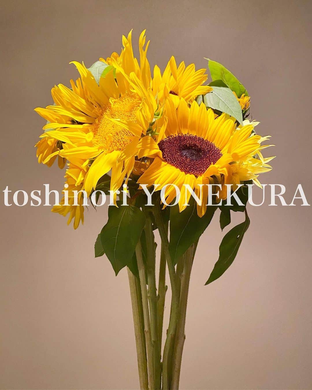のインスタグラム：「flowers of this week: sunflower #男花 #花のある生活 #向日葵 #sunflower」