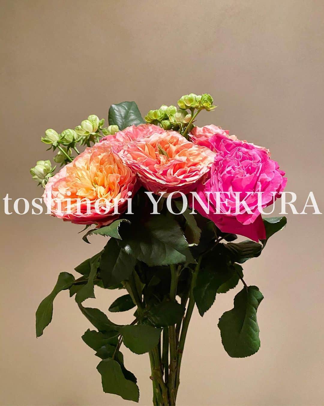 のインスタグラム：「flowers of this week: spray rose #男花 #花のある生活 #スプレーローズ #sprayrose」