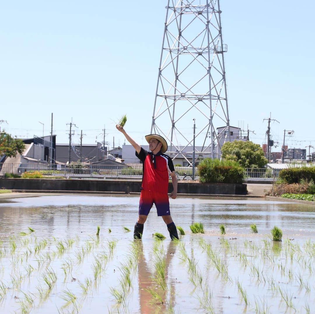 宮田麺児のインスタグラム：「2年目の酒造りスタート  #田植え #山田錦 #マイファーム #てつじの酒 #東大阪」